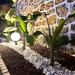 Silence Garden Bir Yatak Odali شقة ألانيا